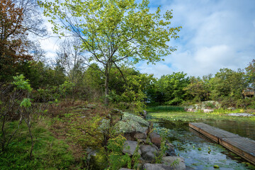 Dock in a bay near Beau Rivage Island in the Thousand Islands in Ontario