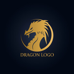 Dragon logo icon flat vector image