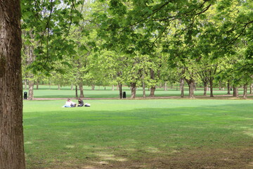 people in the park