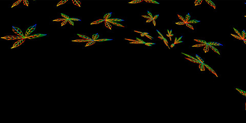 Abstract black background with colorful leaves