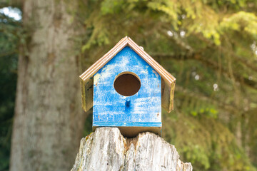 Bird house in the forest. Wooden blue bird house in the park