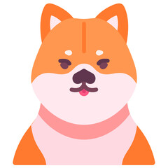 Shiba dog