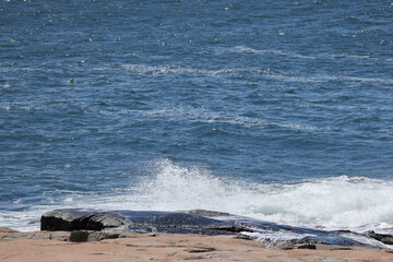 Ocean meeting a rocky shore in Maine