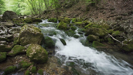 Naklejka na ściany i meble Stones and rocks covered by moss along water stream flowing through green summer forest