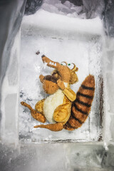 Found Scrat!