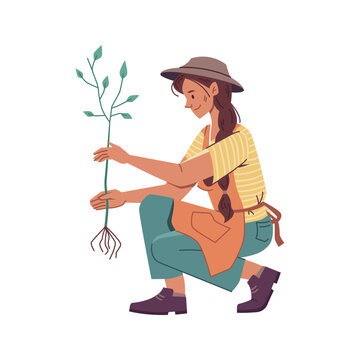 Farming female character planting saplings, flower or tree. Gardening and tending orchard, farmer wearing hat working on field. Vector in flat cartoon style