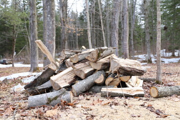 Tas de bois coupé pour la cheminer dans la forêt au début de l'hiver au canada