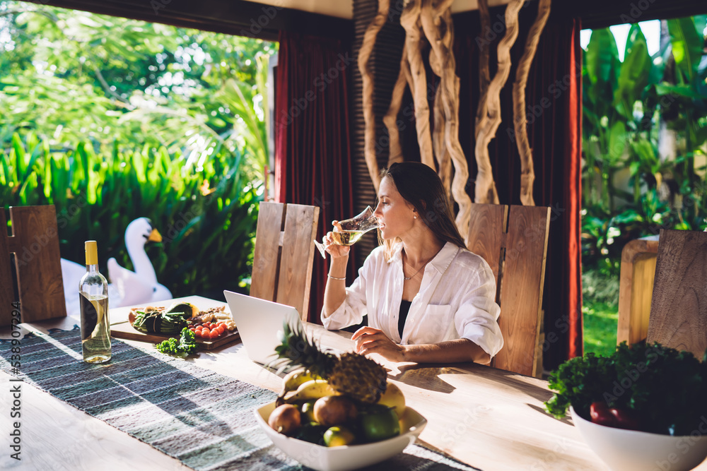 Poster skilled digital nomad with modern netbook computer drinking white wine during brunch time with mixed