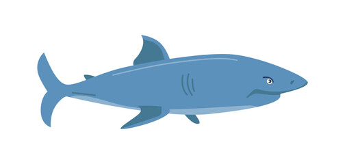 Shark long-bodied chiefly marine fish, isolated underwater animals. Water dweller or creature with sharp teeth and fins, tail. Vector in flat cartoon style