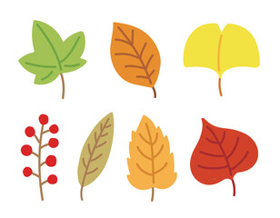 A set of hand drawn illustrations depicting fallen leaves in the autumn season. Maple leaves, ginkgo leaves, berries.