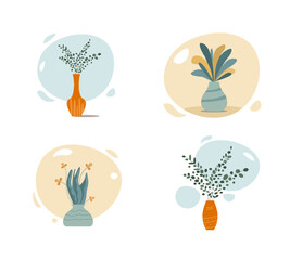 House plants in pots. Collection of cute Flowers and plants in vases.