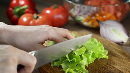 A woman cuts a salad against the background of her small vegetable garden with herbs