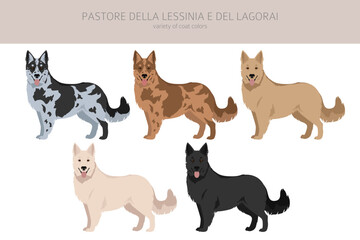 Pastore della Lessinia e del Lagorai clipart. All coat colors set.  All dog breeds characteristics infographic