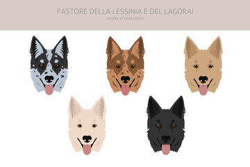 Pastore della Lessinia e del Lagorai clipart. All coat colors set.  All dog breeds characteristics infographic