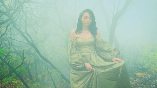 Queen fantasy woman walks in mystical autumn misty forest dark trees. Green foliage gothic trees mist fog. Medieval princess girl enjoy summer nature. art royal vintage long golden dress puffy sleeves