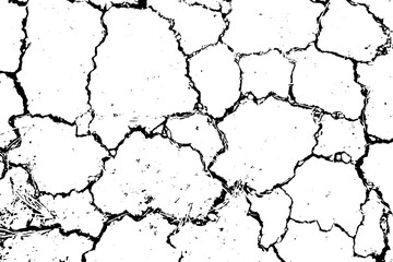 Grunge black and white crack texture background. Abstract messy and distressed element for overlay. (vector)