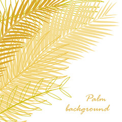 Palm leaves, branches on a white background. Square composition, frame with place for text. Palm trees in yellow golden tones. Summer theme for banner, poster, sale. Branches silhouette, flat style