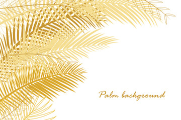 Palm tree background in yellow golden hues. Summer theme. Floral frame with place for text. Palm leaves outline drawing. Flyer, poster, banner vector template. Flat cartoon style. White background