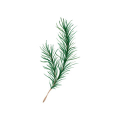 Watercolor christmas bunny. Chinese new year black rabbit. Watercolor, Christmas cute bunny Holiday seamless, pattern, Forest woodland rabbit art Winter new year poster portrait kids symbol decor