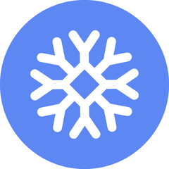 Christmas icon. Winter snow