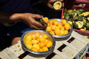 Two basins full of peeled pequi and the hand of the woman who peels the pequi (Caryocar...
