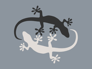 Geckos in black and white gray background