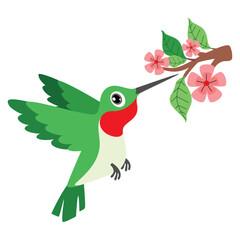 Cartoon Drawing Of A Hummingbird