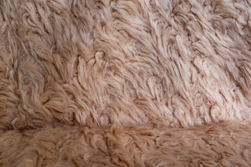 brown wool texture beautiful abstract fur background