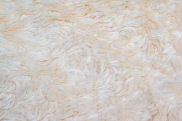 creamy white wool texture beautiful abstract fur background