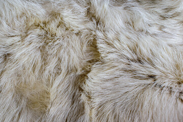white wool texture beautiful abstract fur background