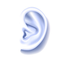 Drawing of the human 
ear in monochrome colors isolated on white.