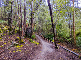 Obraz premium Blue Derby Bike Network Tasmania Australia