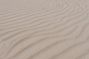Fototapeta na wymiar Beige beach sand waves surface texture. Desert dune landscape