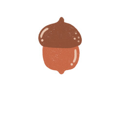 Acorn Hand drawn Illustration