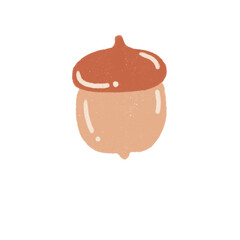 Acorn Hand drawn Illustration