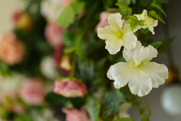 beautiful flowers on a green meadow