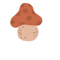 Mushroom Hand drawn Illustration