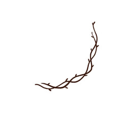 Autumn Branch Hand drawn Illustration