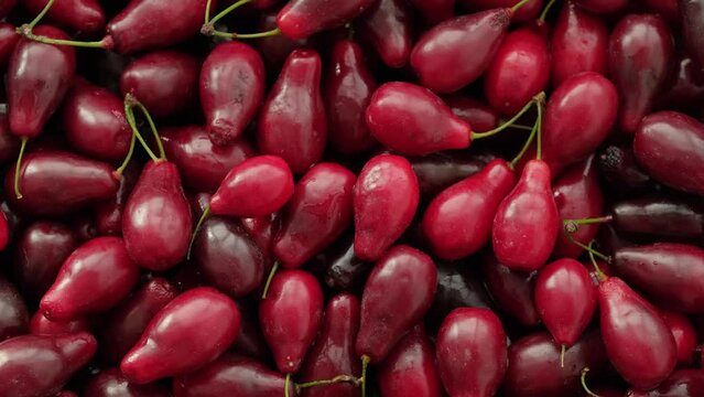 Ripe red dogwood berries background. Cornelian berry - ingredient for compote or jam. Lots of tart red Cornus Mas berry. Useful fruit. Healthy food Slow motion, rotate, close-up, top view, flat lay