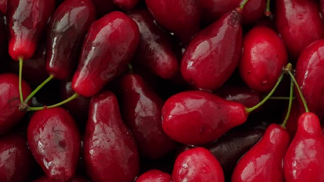 Dogwood berries close-up background. Cornelian cherrie with drops of water. Fresh cornel berries, Cornus mas, European cornel, Cornelian berry - useful healthy fruit. Rotating, slow motion, top view