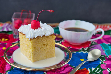メキシコの伝統的なデザート　パステル・デ・トレス・レチェス（3種のミルクのケーキ）コピースペースあり　Traditional Mexican dessert Pastel de Tres Leches (Three Milk Cake) with copy space