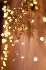 Golden glittery christmas decorations. Christmas lights.