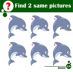Children educational game. Find two same pictures of cute dolphin