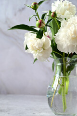 Peonies in a vase. Stylish white peonies in the hands of a florist. The florist girl collected a bouquet. Pruning spring white flowers. A gift for the holiday. Fresh floral