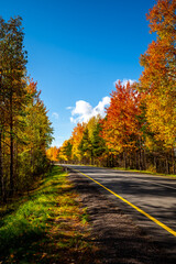 Obraz premium Autumn colors by the road. Blue sky with white clouds. Autumn mood. 