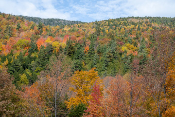 Autumn view into the side of a mountain in the Adirondacks