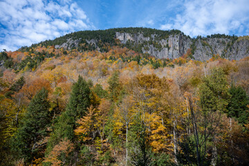 Autumn view into the side of a mountain near Whiteface in the Adirondacks