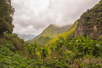 Portugal Madeira Levada das 25 Fontes