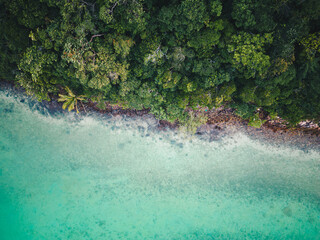 Aerial view sea beach wave with green tree mountain forest in tropical island