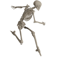 skeleton posing 3d render illustration
